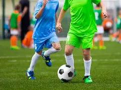 沙漠梭梭孕,黄金草,蚂蚁森林共,开云体育,开云体育官网,开云体育app,开云体育平台,KAIYUN,SPORTS,kaiyun登录入口