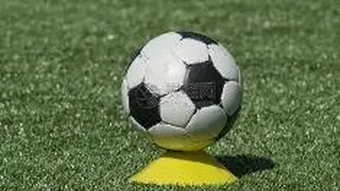 东莞篮球盛宴：队伍勇夺亚军，篮球之都激情依旧