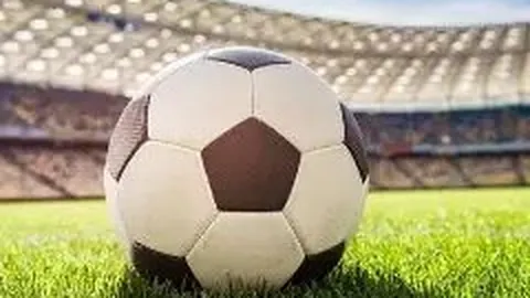 开云体育官网入口网页 资讯 101743 npd