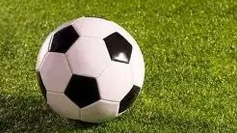 拜仁 1：0 击败 弗莱堡 ｜ 德甲战报