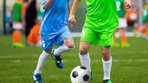 沙漠梭梭孕育“黄金草”，蚂蚁森林共筑生态梦