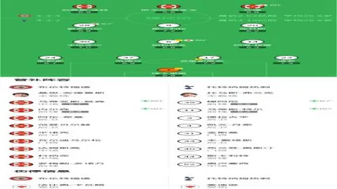 “国安欢庆塞尔吉尼奥成功归化，球迷热烈反响！”